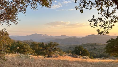 The incredible Badger Ridge